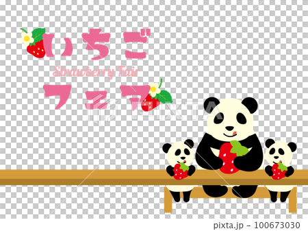 Panda mom and twin pandas eating strawberries_strawberry fair 100673030