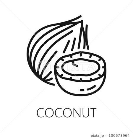 Coconut fruit in hard shell isolated coco nut outline icon. Vector exotic food, tropical palm tree nut, oil and milk drink ingredient 100673964