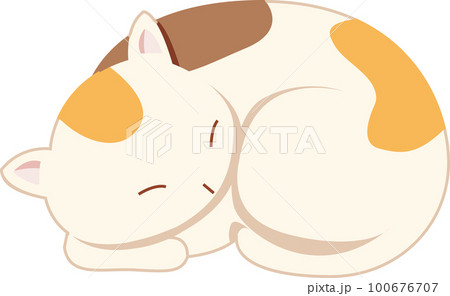 三毛猫 100676707