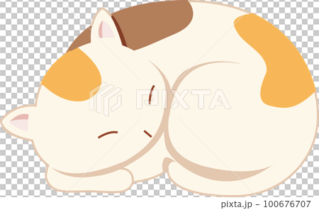 三毛猫 100676707