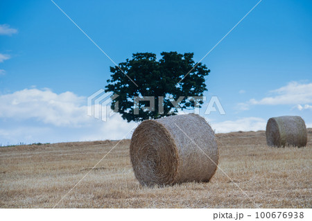 収穫後の丘と麦ロール 100676938