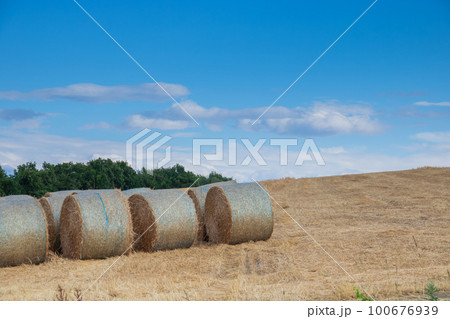 収穫後の丘と麦ロール 100676939