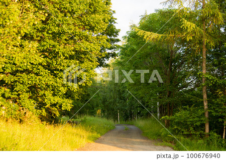 夕暮れの小道 100676940