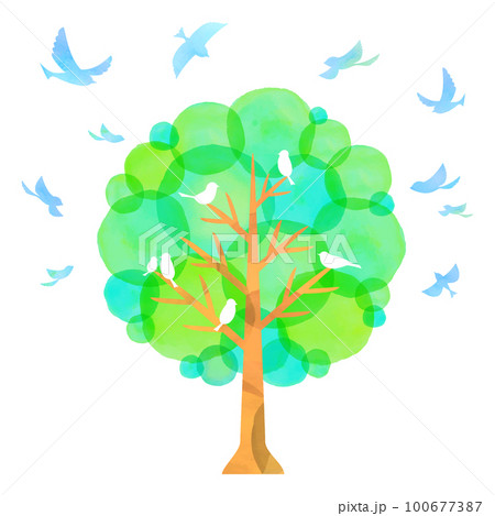 水彩タッチの樹木と小鳥たち 青い鳥 新緑 水彩タッチの樹木と小鳥たち 青い鳥 新緑 100677387