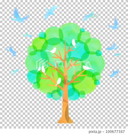 水彩タッチの樹木と小鳥たち 青い鳥 新緑 水彩タッチの樹木と小鳥たち 青い鳥 新緑 100677387