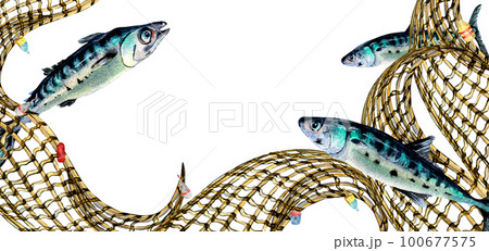 Composition of mackerel and fishnet watercolor illustration isolated on white. 100677575