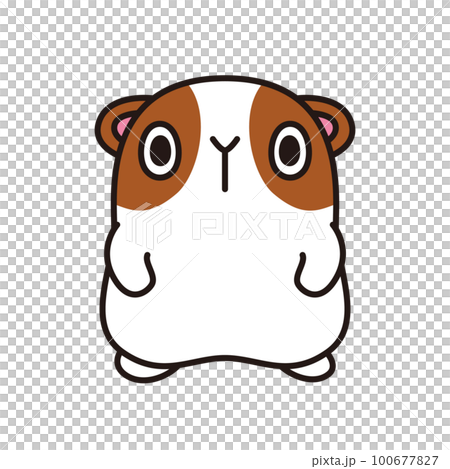 豚鼠插圖鬆散的性格 豚鼠插圖鬆散的性格 100677827