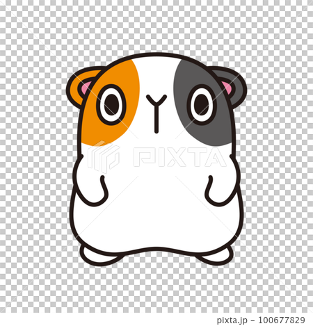 Guinea pig illustration loose character 100677829