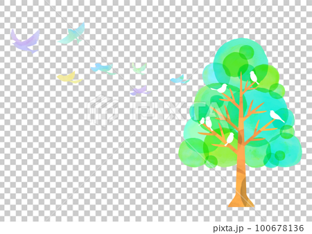 水彩タッチの樹木と小鳥たち 青い鳥 新緑 100678136