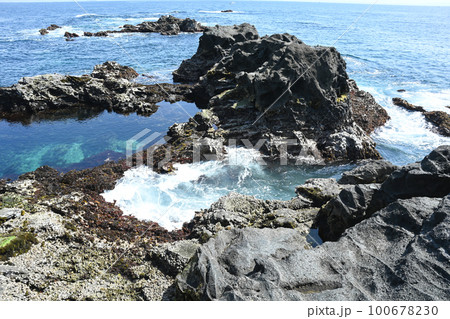 城ヶ島の海岸の風景【神奈川県三浦半島】 城ヶ島の海岸の風景【神奈川県三浦半島】 100678230