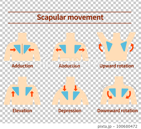 yoga, medicine, vector 100680472