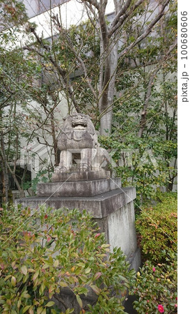 2023年・京都の神社の狛犬・其の二 2023年・京都の神社の狛犬・其の二 100680606
