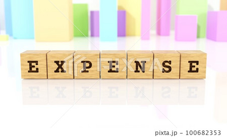 EXPENSEの文字が印字された木製ブロック EXPENSEの文字が印字された木製ブロック 100682353