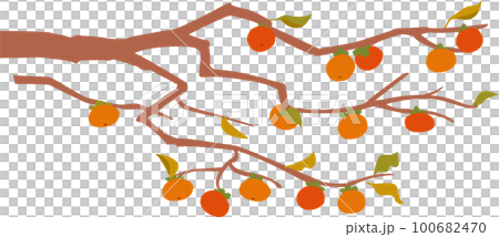 persimmon 100682470