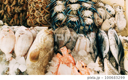 Fresh fish on display on ice on fishermen market store shop. Seafood fish, shrimp, blue crab, fresh fish. Seafood fish background. Top view Fresh fish on display on ice on fishermen market store shop. Seafood fish, shrimp, blue crab, fresh fish. Seafood fish background. Top view 100683299