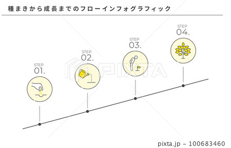 種まきから成長までのフローインフォグラフィック、シンプルなラインアイコン、ベクター 100683460