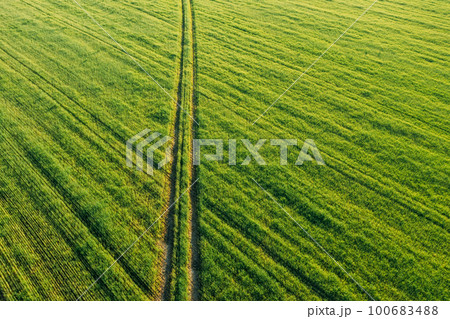 Aerial view of country road through green field rural landscape in summer. Top view of countryside road in summer field rural landscape from high attitude. Natural green field background with trails 100683488
