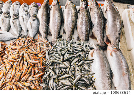 Fresh Sea Salmon, European Anchovy Fish and Mullus On Display On Ice On Market Store Shop. Seafood Fish Background. Salmon Is A Fairly Species Of Salmon. European Anchovy Is Forage Fish Somewhat. Fresh Sea Salmon, European Anchovy Fish and Mullus On Display On Ice On Market Store Shop. Seafood Fish Background. Salmon Is A Fairly Species Of Salmon. European Anchovy Is Forage Fish Somewhat. 100683614