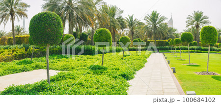 High quality photo. Walkway Lane Path With Green Decoration Trees And Palms In Garden. Beautiful Alley In Park. Pathway Way Through landscaped urban park in Dubai. Landscape design. Garden Landscaping High quality photo. Walkway Lane Path With Green Decoration Trees And Palms In Garden. Beautiful Alley In Park. Pathway Way Through landscaped urban park in Dubai. Landscape design. Garden Landscaping 100684102