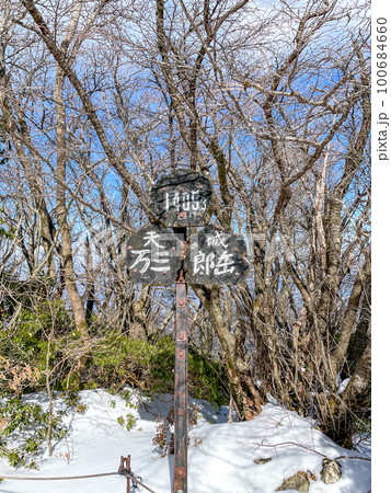 天城山　登山道 100684660