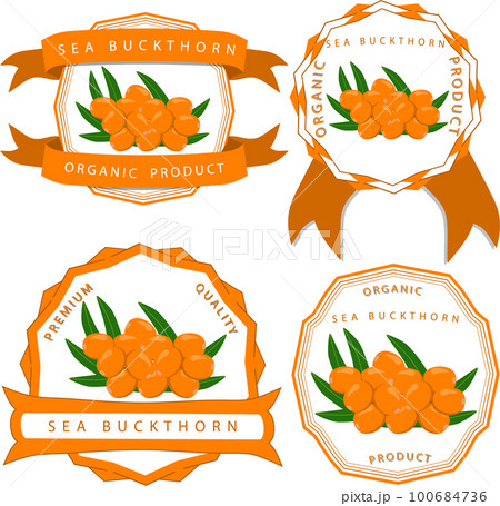 Sweet juicy tasty natural eco product sea buckthorn Sweet juicy tasty natural eco product sea buckthorn 100684736