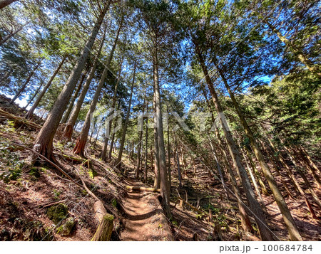 藤原岳 登山道 藤原岳 登山道 100684784