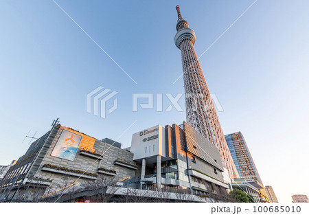 東京都墨田区　朝焼けに染まる東京スカイツリーとスカイツリータウン 100685010