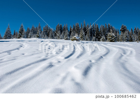 Ski tracks in powder snow Ski tracks in powder snow 100685462
