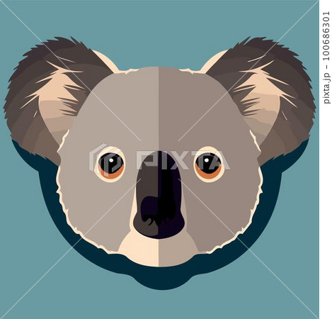 common koala herbivore mammal animal face common koala herbivore mammal animal face 100686301