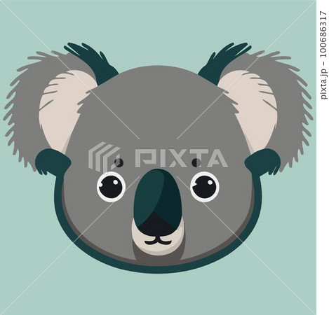 common koala herbivore mammal animal face common koala herbivore mammal animal face 100686317