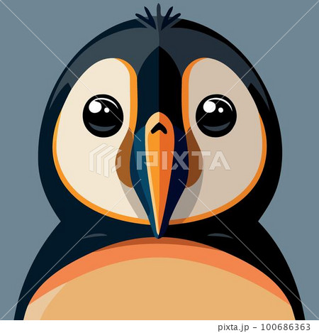 animal bird common blue penguin 100686363