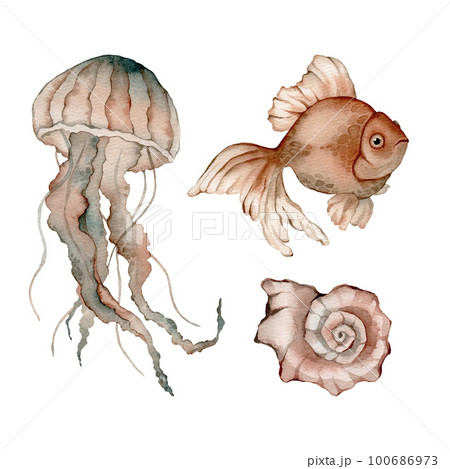 Set of sea animals poster. Blue, greeen, brown watercolor ocean jellyfish, medusa, fish aquarium . Nautical wildlife marine illustration 100686973