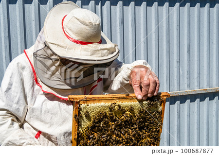 Winged bee slowly flies to beekeeper collect nectar on private apiary Winged bee slowly flies to beekeeper collect nectar on private apiary 100687877