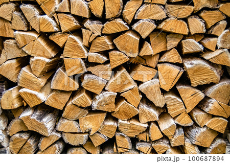 Photography on theme big wall of stacked oak tree logs in cracks 100687894