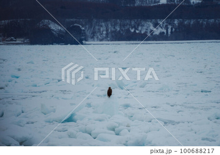 知床の情景#22 100688217