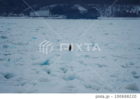 知床の情景#23 100688220