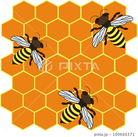 Various sweet tasty natural honey from honeycomb Various sweet tasty natural honey from honeycomb 100688371