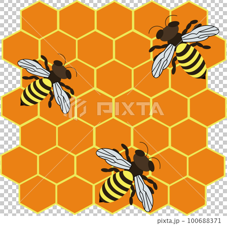 Various sweet tasty natural honey from honeycomb Various sweet tasty natural honey from honeycomb 100688371