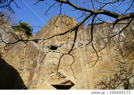 横須賀市 鷹取山 凝灰岩の岸壁群 横須賀市 鷹取山 凝灰岩の岸壁群 100689175