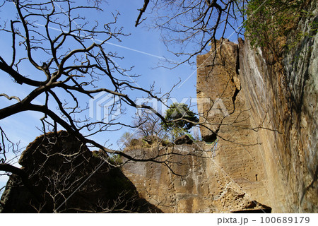横須賀市 鷹取山 凝灰岩の岸壁群 横須賀市 鷹取山 凝灰岩の岸壁群 100689179
