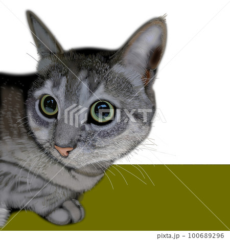 可愛いネコ　イラスト 100689296