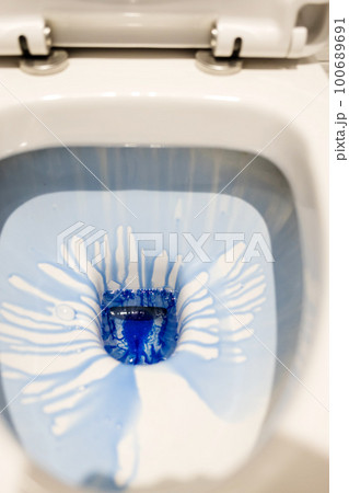 Sanitizing the toilet bowl with blue gel. Sanitizing the toilet bowl with blue gel. 100689691