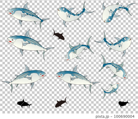 海魚鰹魚姿勢收集和剪影 100690004