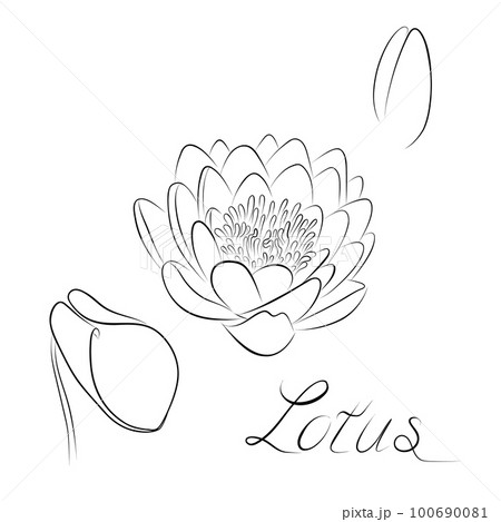 Continuous line drawing. line art lotus Vector Minimalistic mid-century design 100690081