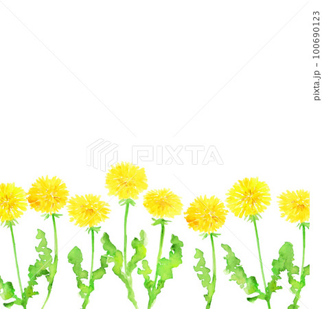 水彩画。水彩タッチのタンポポのベクターイラスト。水彩画のタンポポリアルタッチ挿絵。 100690123