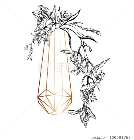 Hand drawn vector ink orchid flowers and branches, monochrome, detailed outline. Composition with crystal form. Isolated on white background. Design for wall art, wedding, print, tattoo, cover, card. 100691762