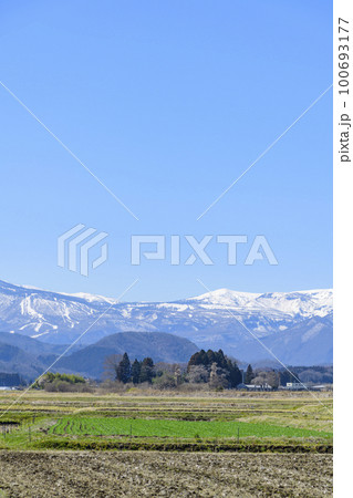 春を待つ蔵王と宮城の田園地帯 春を待つ蔵王と宮城の田園地帯 100693177