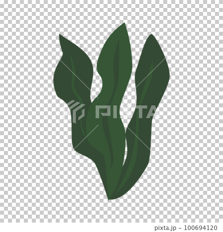 海藻的插圖 100694120