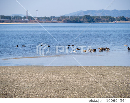 和白干潟(博多湾奥に広がる干潟)。福岡市東区。 和白干潟(博多湾奥に広がる干潟)。福岡市東区。 100694544