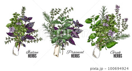 Set of hand drawn colorful bouquets of Italian, Greek and Provencal herbs sketch style Set of hand drawn colorful bouquets of Italian, Greek and Provencal herbs sketch style 100694924